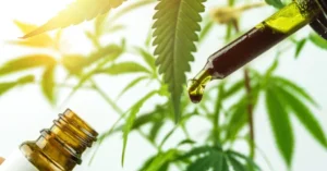 Read more about the article Какво е CBD (канабидиол) и как действа?
